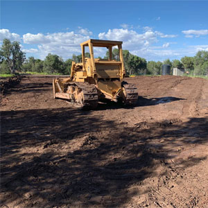 BullDozer300x300