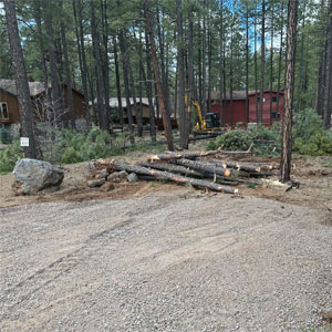 TreeRemoval300x300